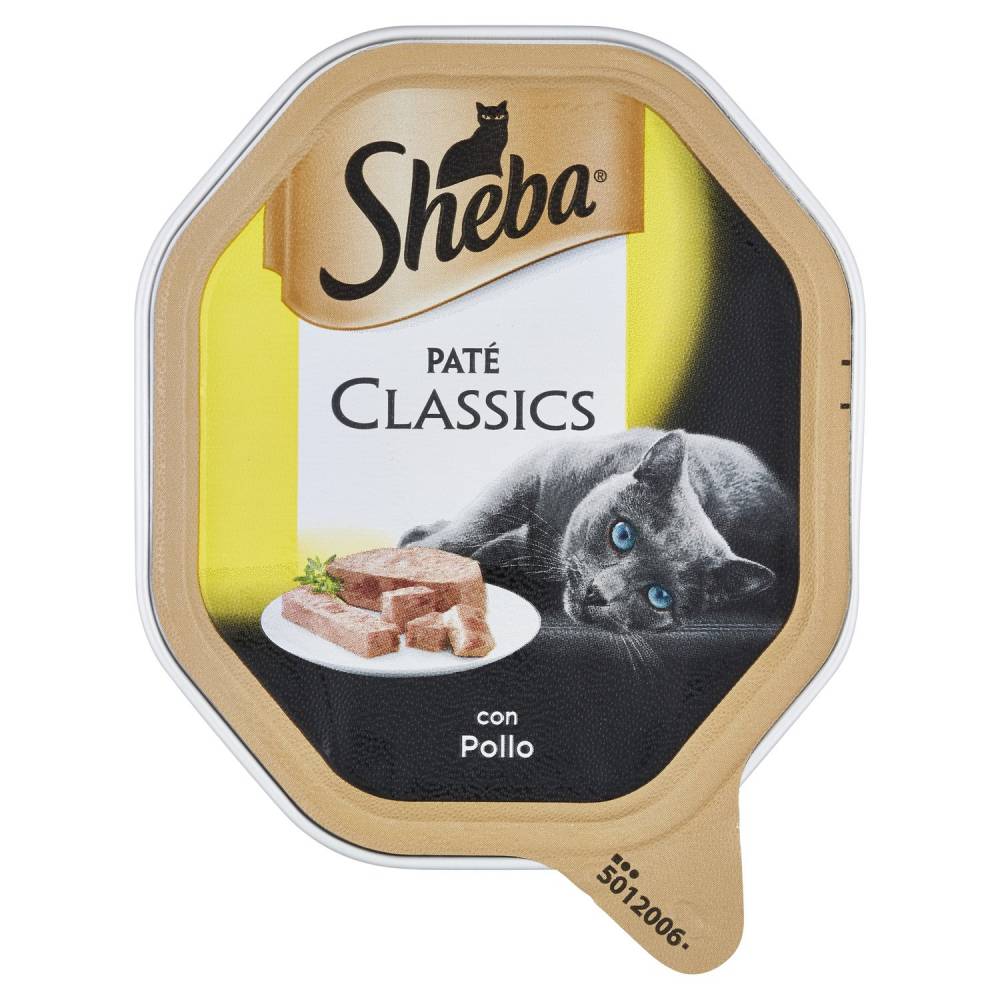 SHEBA PATEPOLLO GR85 VASCH.