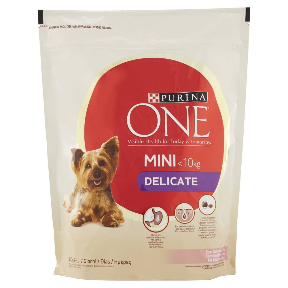 PURINA ONE MINI SALM/RISO G800